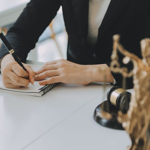 Victoria Lorenzo Silva Abogados